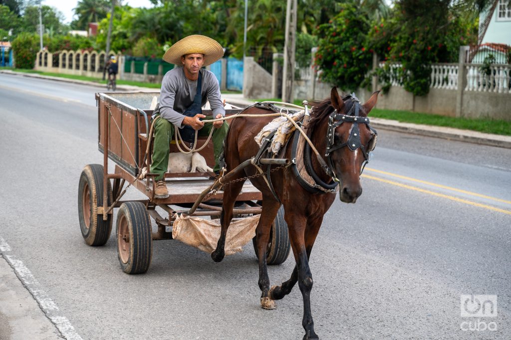 His Majesty "The right time"