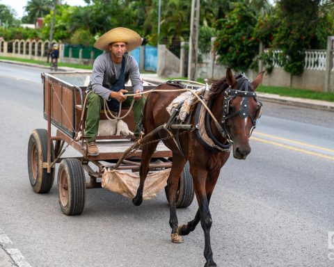 His Majesty "The right time"