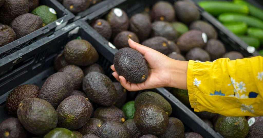 How much avocado does Mexico sell to the world and what countries?
