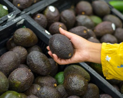 How much avocado does Mexico sell to the world and what countries?
