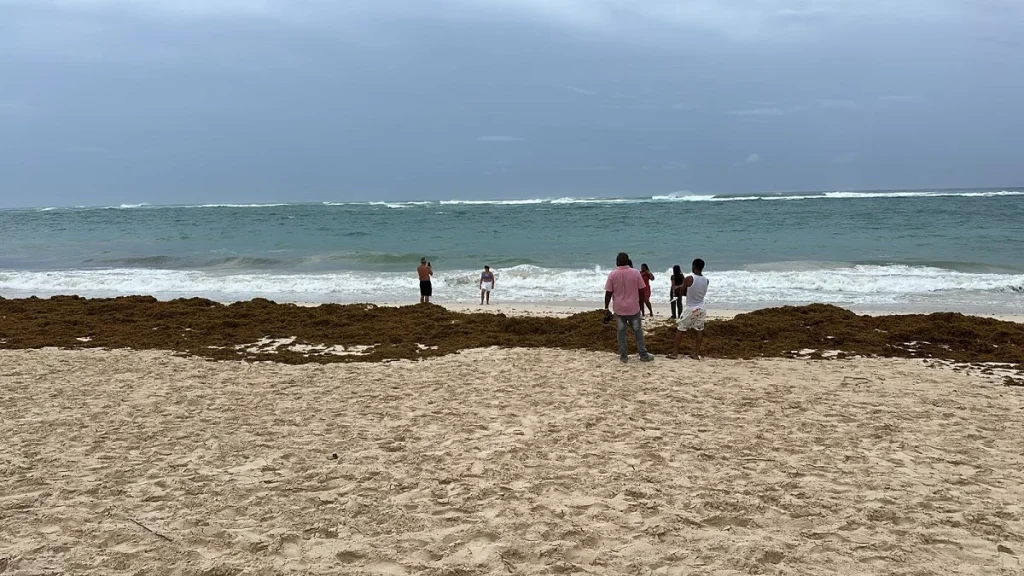 Personas viendo oleaje y tomándose fotos en la orilla de playa en el este del país, pese a que COE prohíbe acercarse a las costas por huracán Erin.