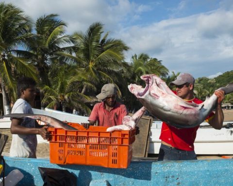 Income from self -employment grows in urban areas, but the countryside lags