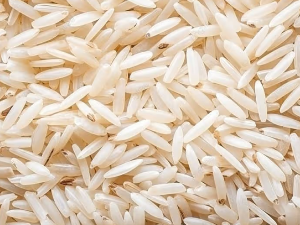 Issue resolution that submits green paddy rice to price regulated from prices