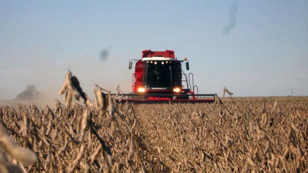 Less load, more export: Agro breathes with Javier Milei's new decree