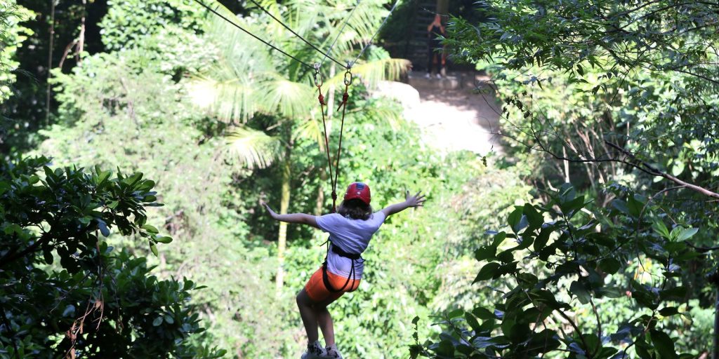 Managers approve model of granting natural and urban parks