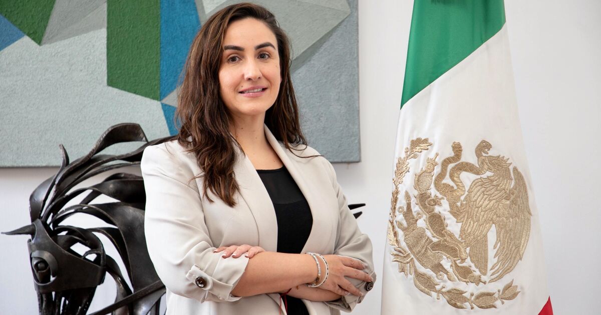 María del Carmen Bonilla is appointed Undersecretary of the Treasury