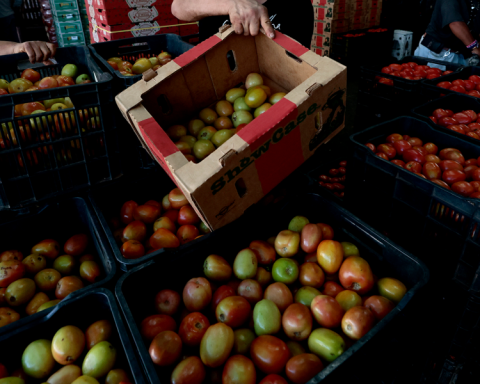 Mexico establishes minimal export prices for fresh tomato