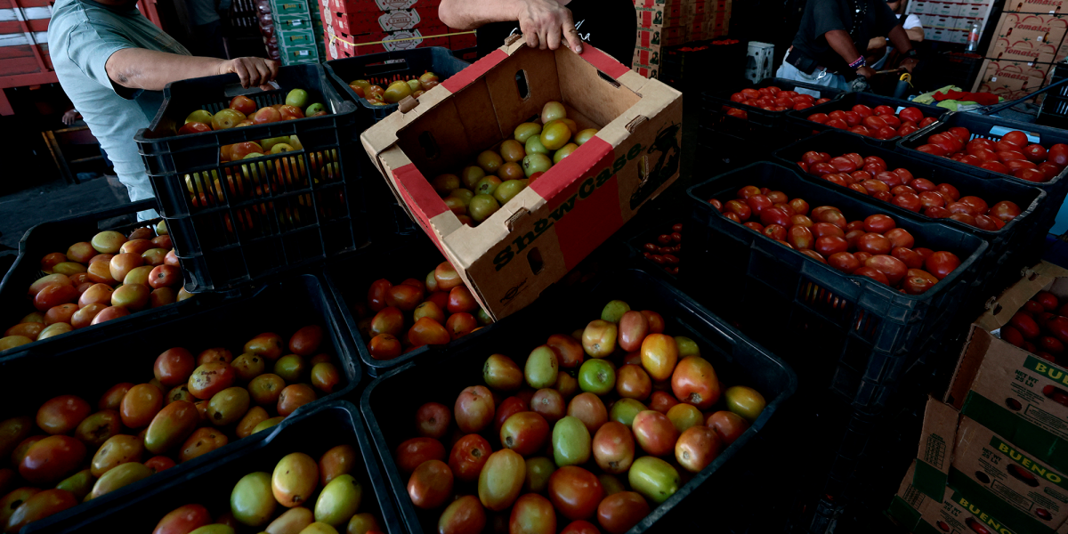 Mexico establishes minimal export prices for fresh tomato