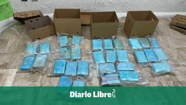 Narcoingenio: seizure cocaine that would be sent to Germany