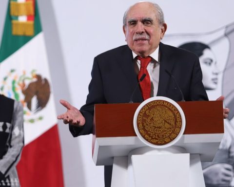 Pablo Gómez, from the FIU to coordinate the new electoral reform