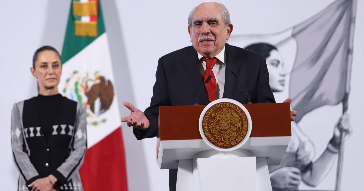 Pablo Gómez, from the FIU to coordinate the new electoral reform