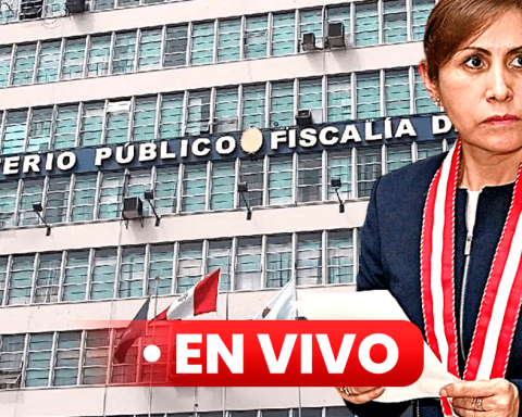 Patricia Benavides LIVE: former National