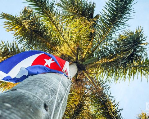 Photographic opinions for Noel Nicola