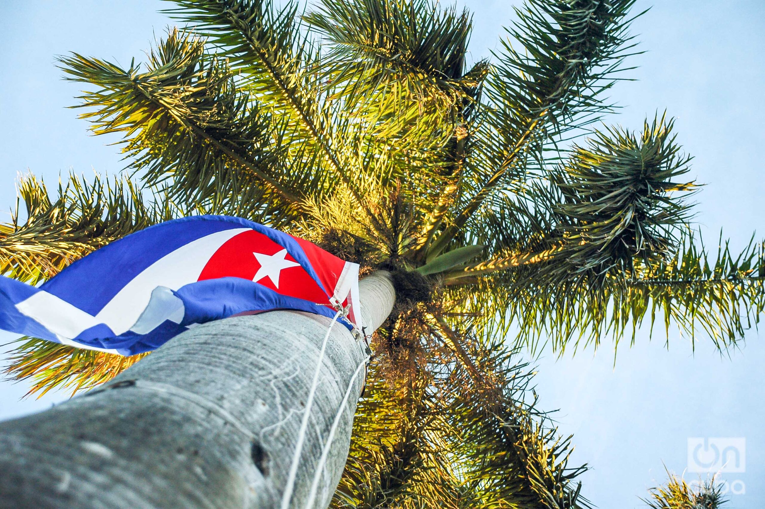 Photographic opinions for Noel Nicola