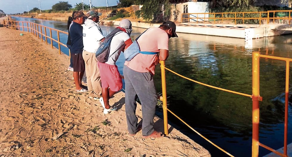 Piura: Young dies drowned in Daniel Escobar channel