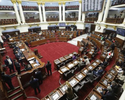 Plenary approves law that allows congressmen to campaign during the week of representation