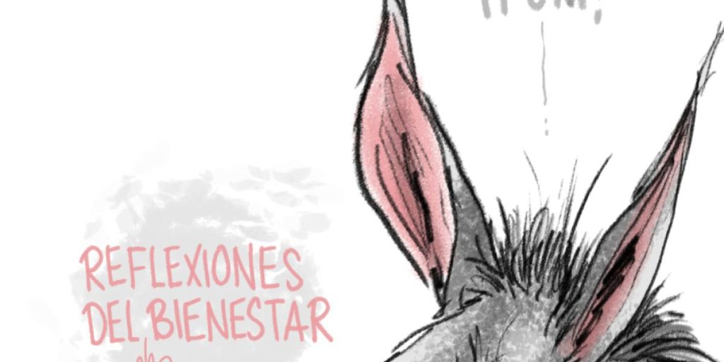 Reflections of well -being