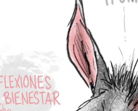 Reflections of well -being