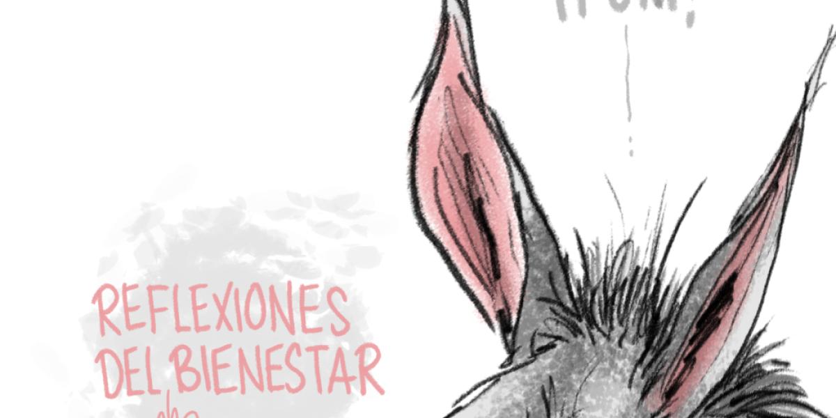 Reflections of well -being