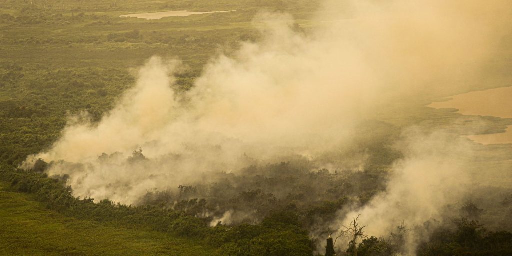Residents of the west of São Paulo receive a warning of dry weather by cell phone
