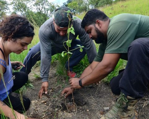 Rio: Mutirão in Serra do Vulcão promotes climate actions of the periphery