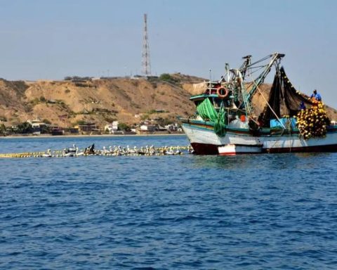 SNP alert that illegal fishing in Peru could become a problem as serious as illegal mining