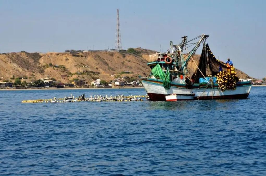 SNP alert that illegal fishing in Peru could become a problem as serious as illegal mining
