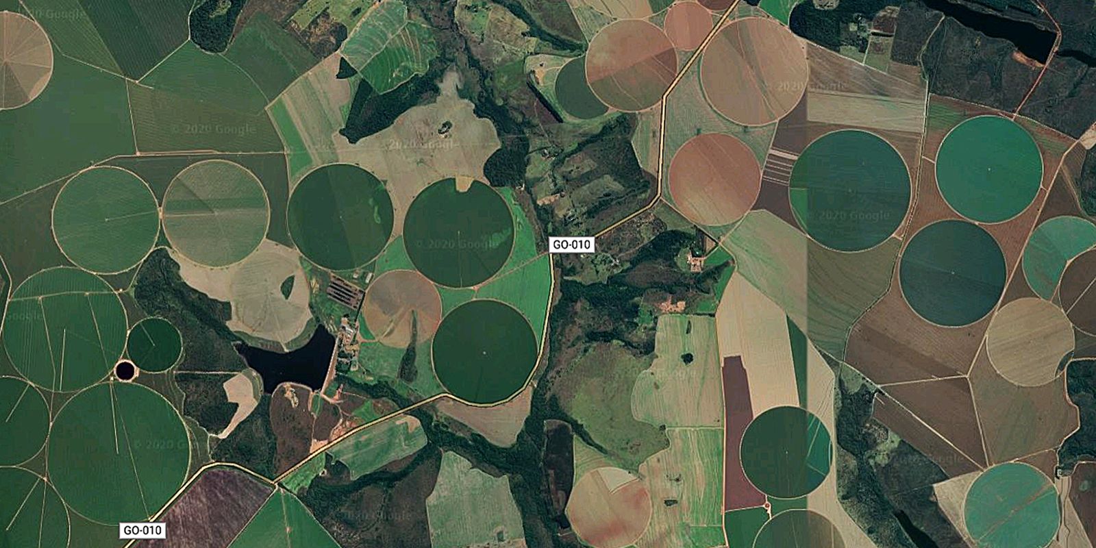 Suspension of soy moratorium by Cade worries environment