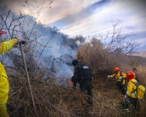 Tarija: 80% of the fire in Sama Serranía de Sama