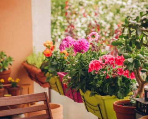 The 6 reasons why the US buys so many flowers from Colombia, according to AI