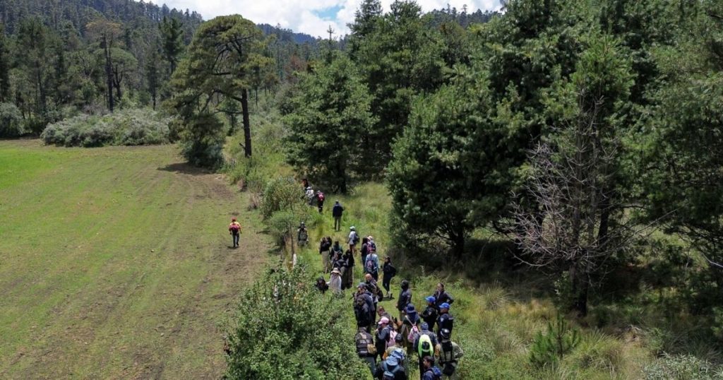 The Ajco, Natural Reserve and Point of Disappearances in CDMX