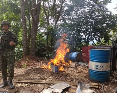 The Army dismantled a coca laboratory valued at one billion pesos in Cúcuta