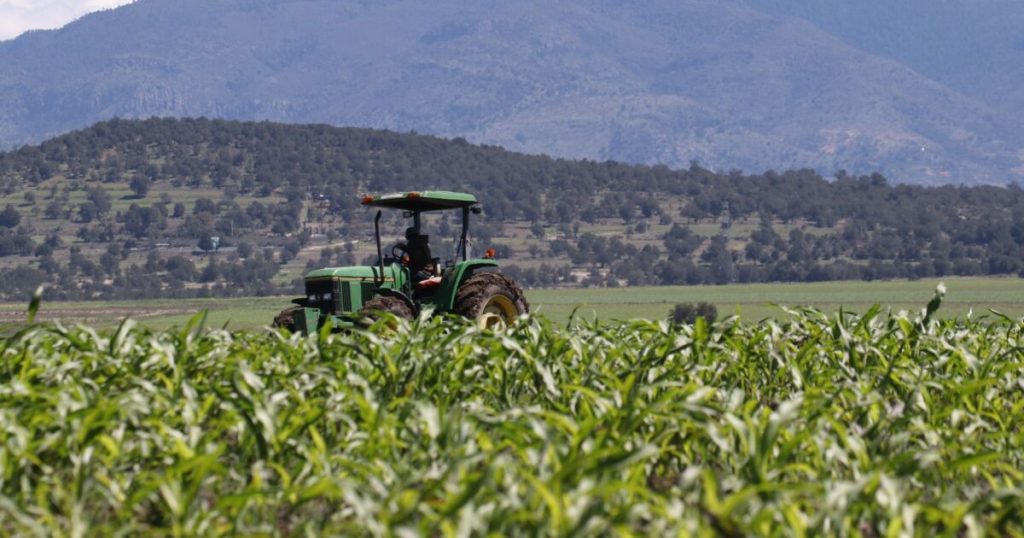 The United States squeezes Mexican agriculture, but cuts its market