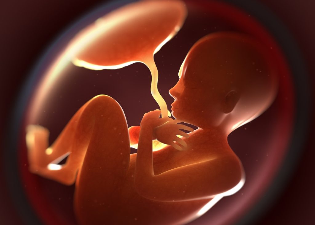 The battle between sexes is fought in the ring of the placenta