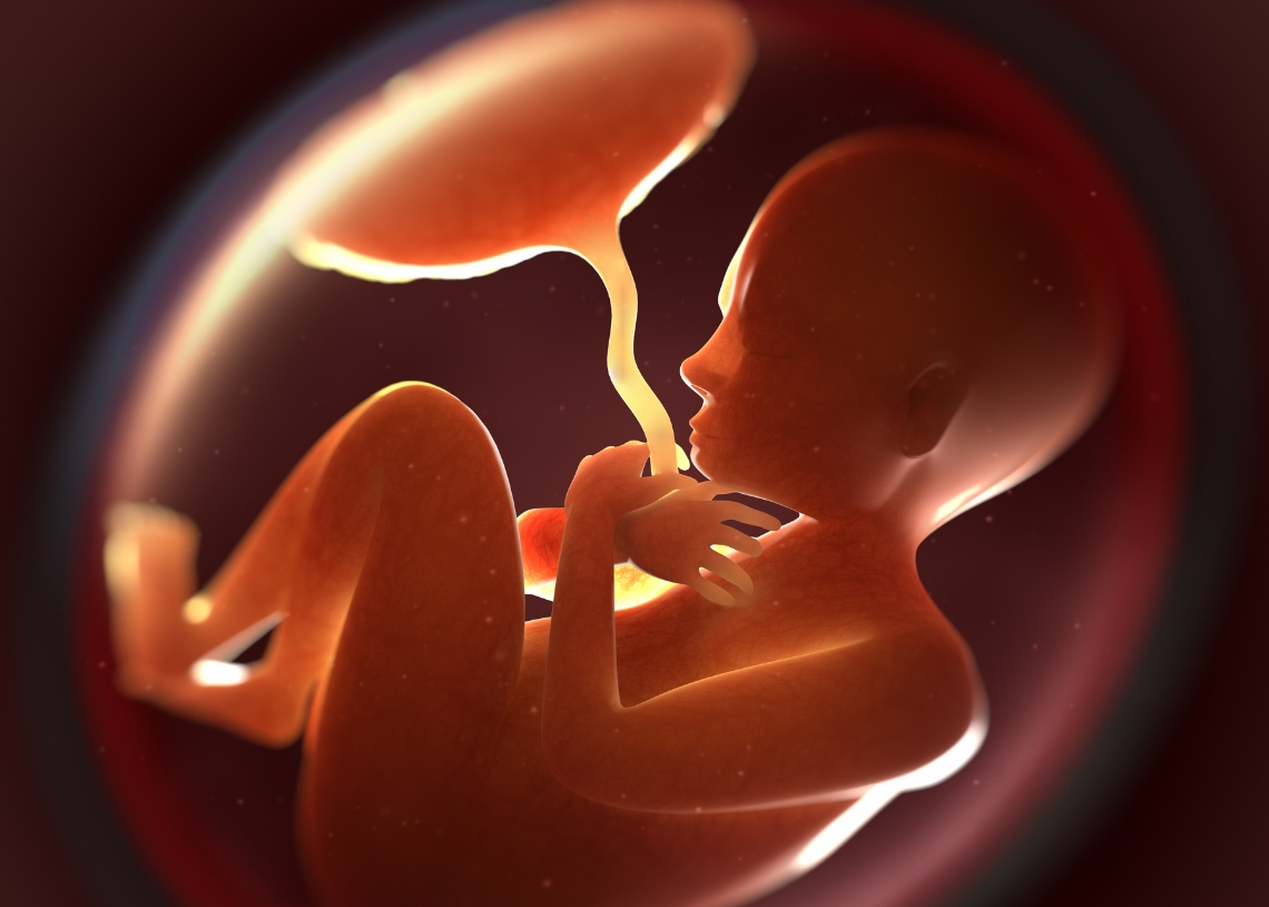 The battle between sexes is fought in the ring of the placenta