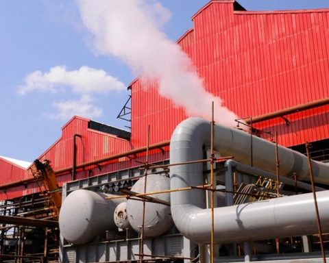 The harvest beats its negative record, with less than 150,000 tons