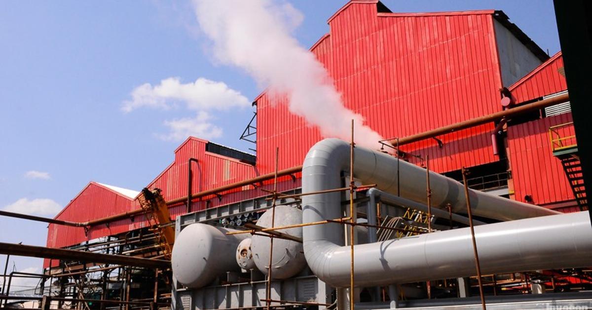 The harvest beats its negative record, with less than 150,000 tons