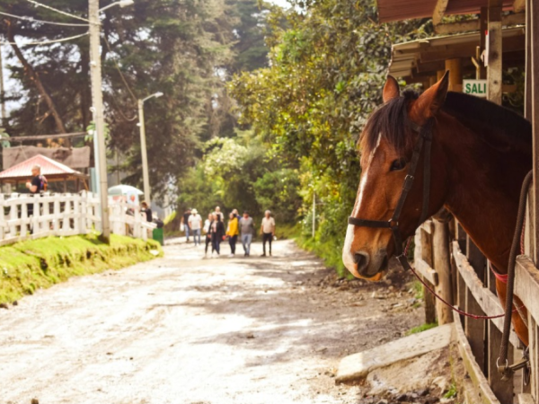 The ideal place of Colombia if you want to spend a quiet weekend, according to AI