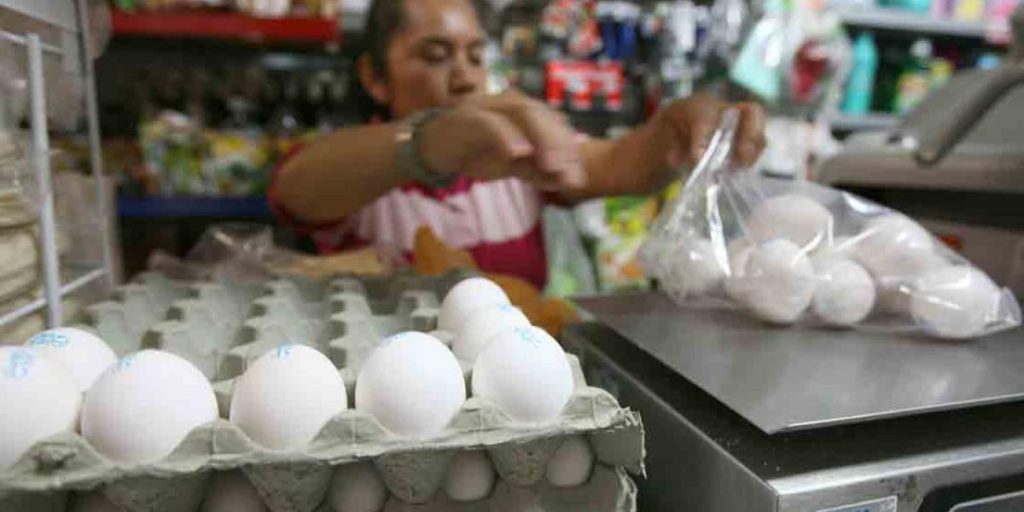 These were the products of the basic basket that the most rose and went down in July