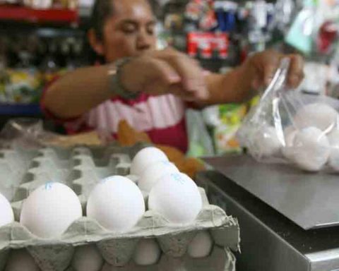 These were the products of the basic basket that the most rose and went down in July