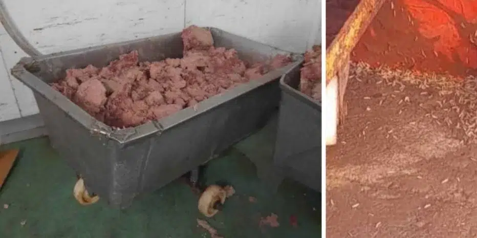 Falta de higiene, insalubridad