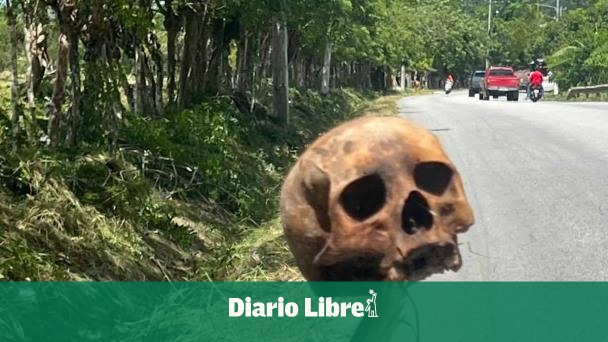 They discover human skull on Higüey - Santana road