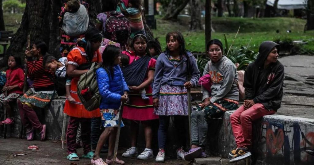 They find indigenous minors in the National Park
