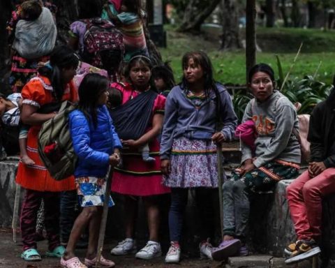 They find indigenous minors in the National Park
