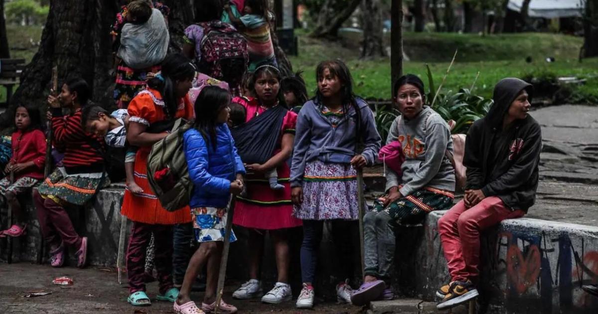 They find indigenous minors in the National Park