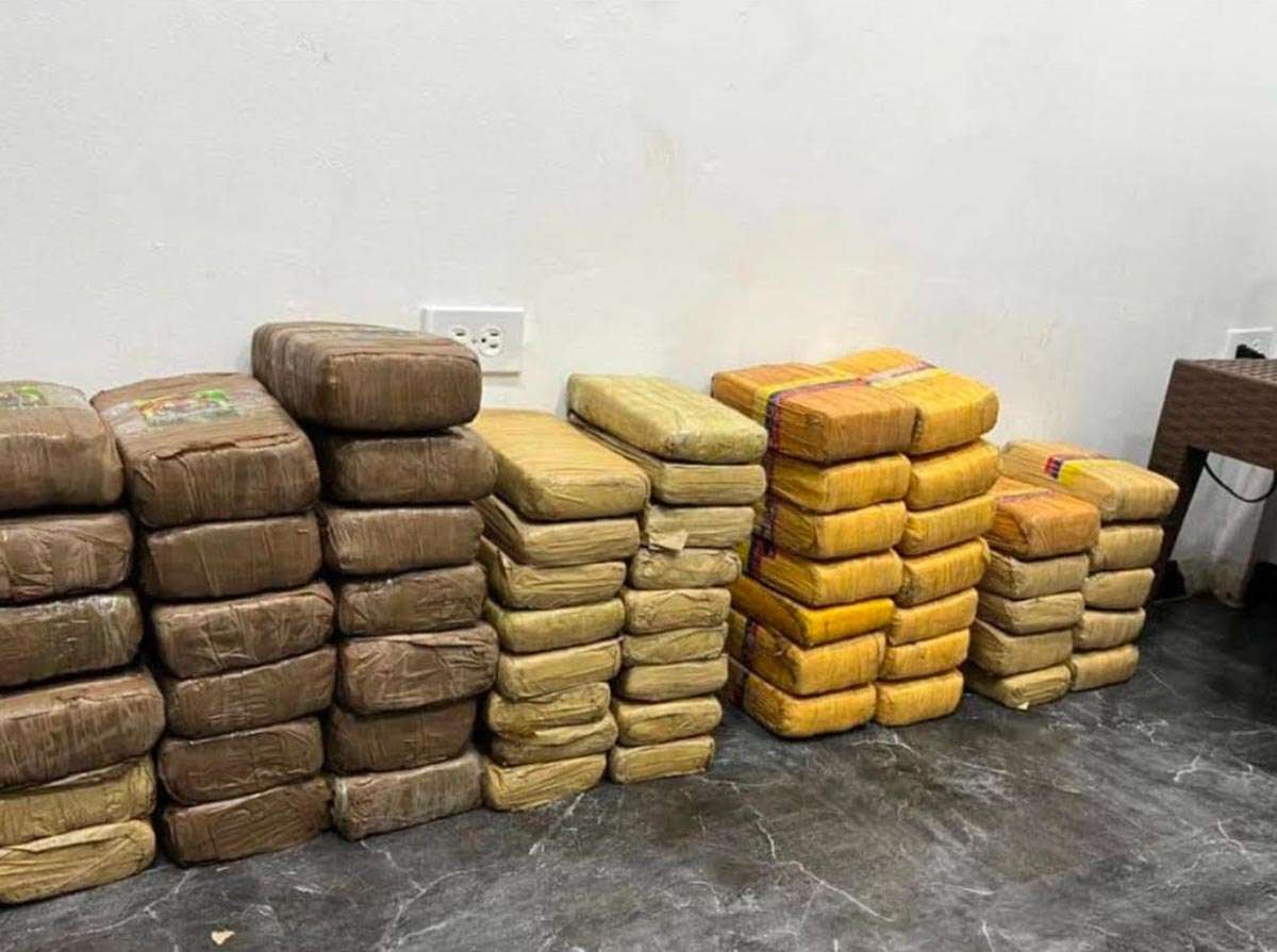 They locate the mines 60 marijuana panels