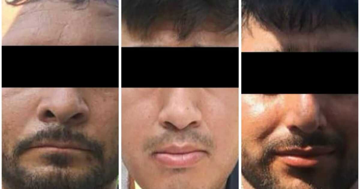 They stop five from "The Mayos" by kidnapping of former member of "The Chapitos"