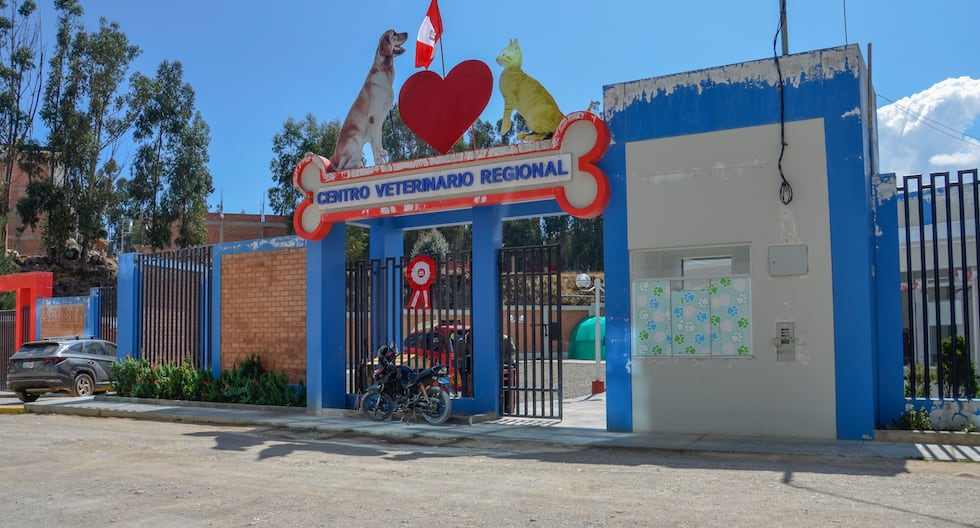 They warn of danger from biocontaminated waste in the Municipal Veterinary Center of Huancayo