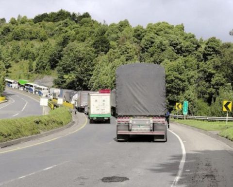 They warn that more than 500,000 liters of milk are at unemployment in Boyacá