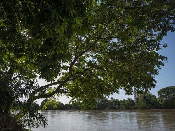 Thus he went to the Ministry of Environment for a year after finishing the Petro government